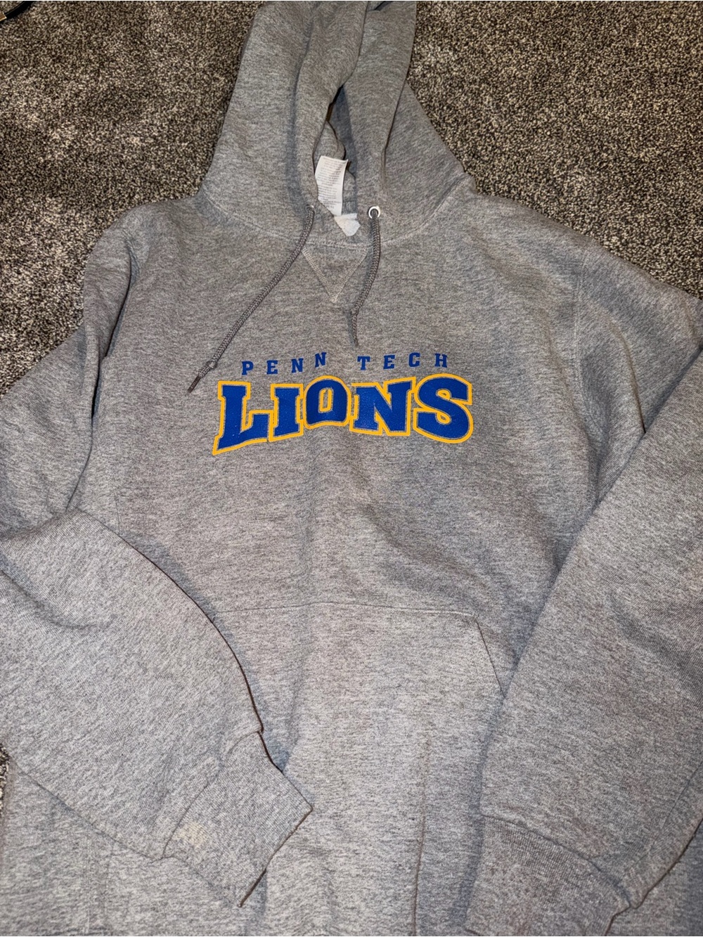 Penn Tech lions hoodie